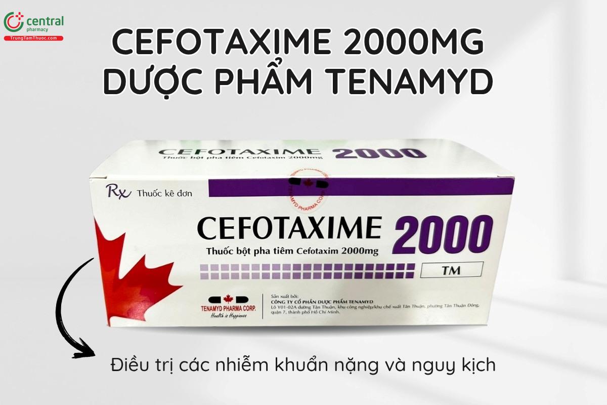 Thuốc Cefotaxime 2000mg Dược phẩm Tenamyd điều trị các nhiễm khuẩn nặng