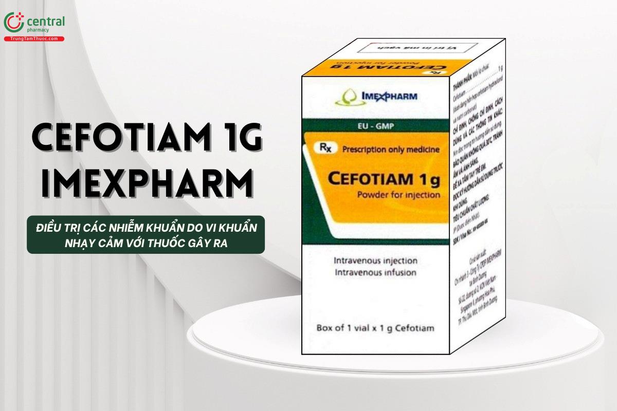 Thuốc Cefotiam 1g Imexpharm điều trị các nhiễm khuẩn do vi khuẩn nhạy cảm với thuốc gây ra