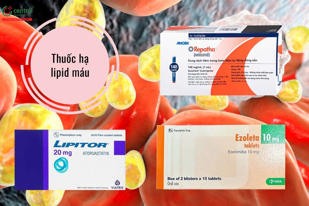 Thuốc hạ lipid máu