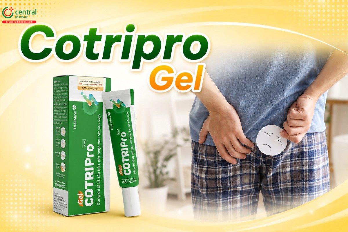 Cotripro Gel - Gel bôi làm co búi trĩ