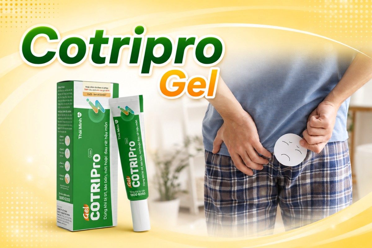 Cotripro Gel - Gel bôi làm co búi trĩ