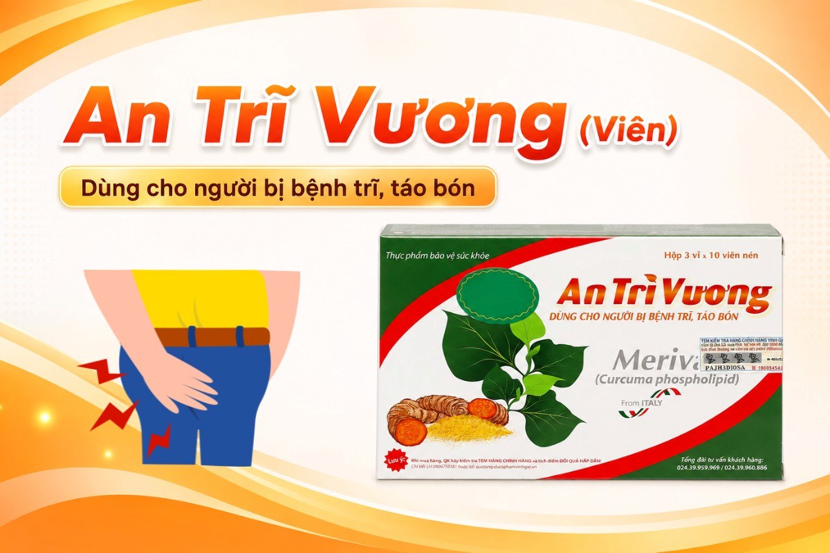 An Trĩ Vương hỗ trợ điều trị trĩ