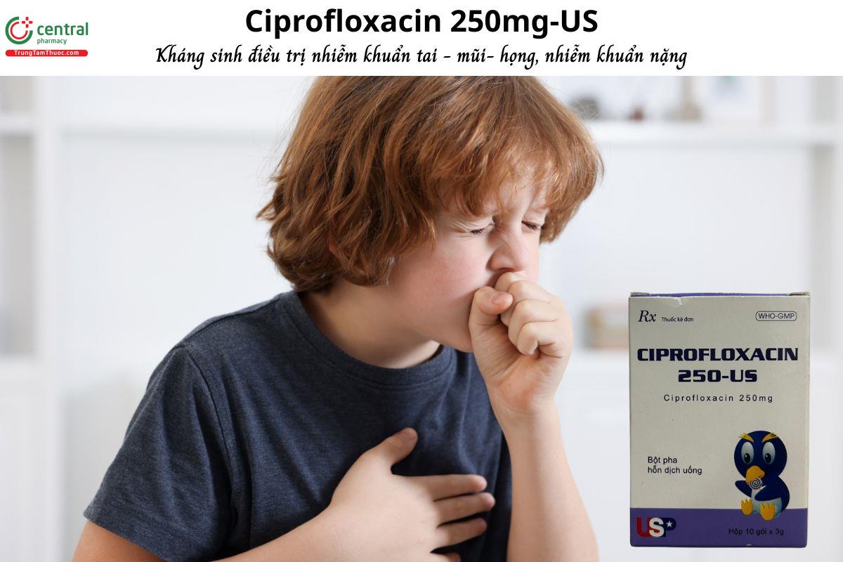 Thuốc Ciprofloxacin 250-US - Kháng sinh điều trị nhiễm khuẩn nặng