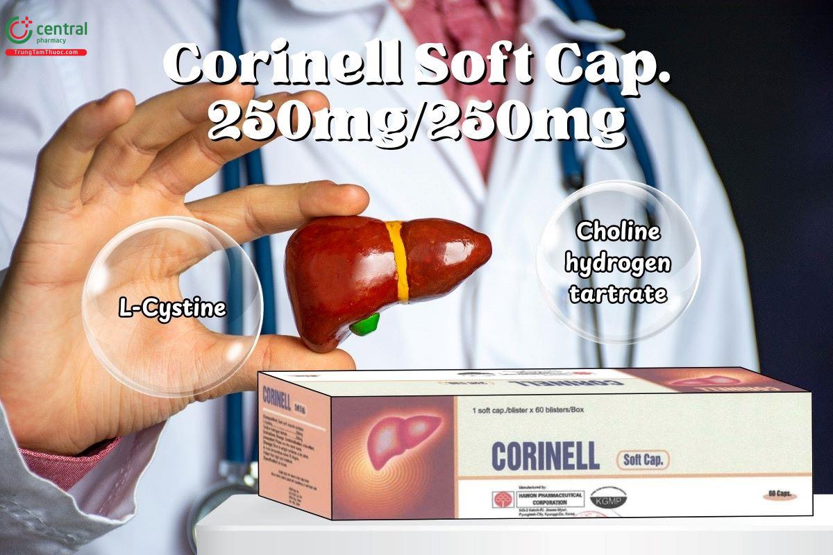 Thành phần của thuốc Corinell Soft Cap. 250mg/250mg