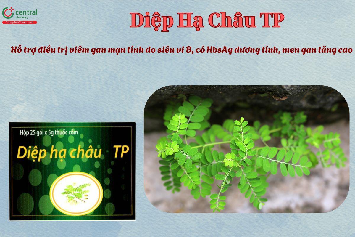 Thuốc Diệp Hạ Châu TP hỗ trợ điều trị bệnh viêm gan do siêu vi B