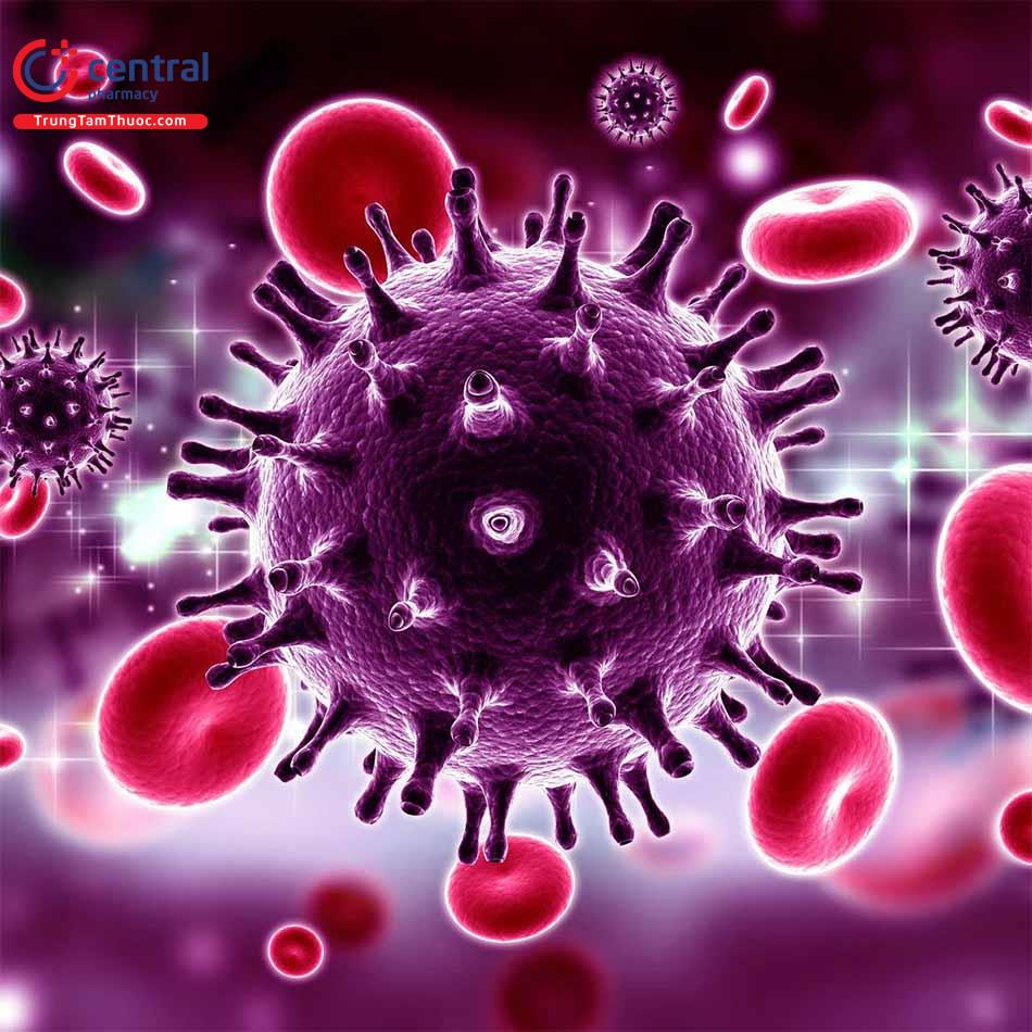 Virus HIV xâm nhập vào cơ thể gây suy giảm hệ thống miễn dịch