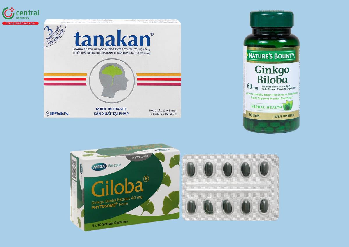 Thuốc hỗ trợ điều trị suy giảm nhận thức tiền đình Ginkgo Biloba