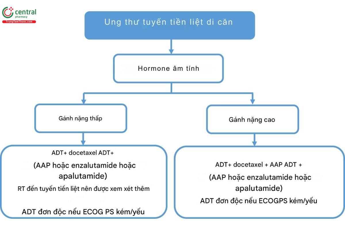 Sơ đồ điều trị ung thư tuyến tiền liệt di căn