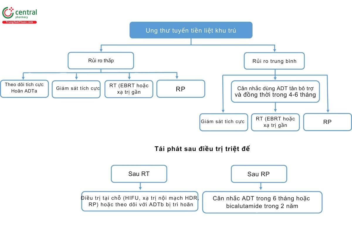 Sơ đồ điều trị ung thư tuyến tiền liệt tiến triển tại chỗ