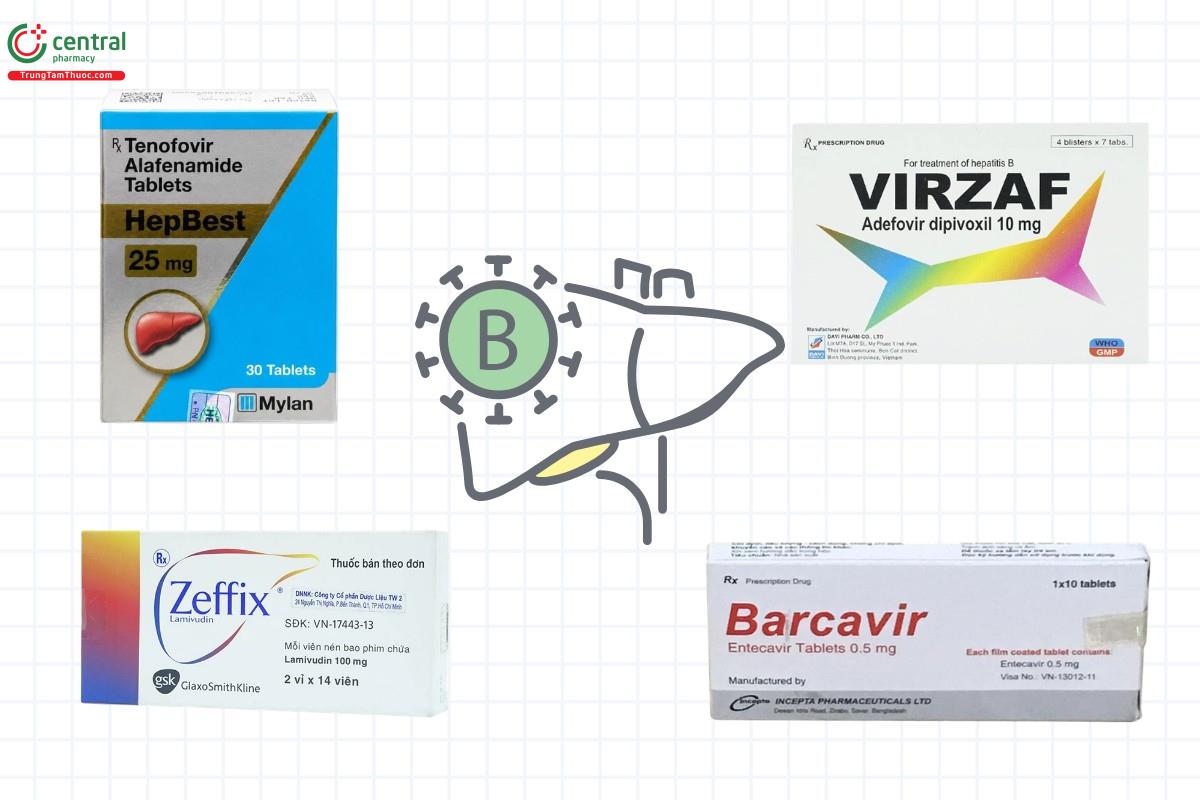 Các thuốc kháng virus điều trị viêm gan B