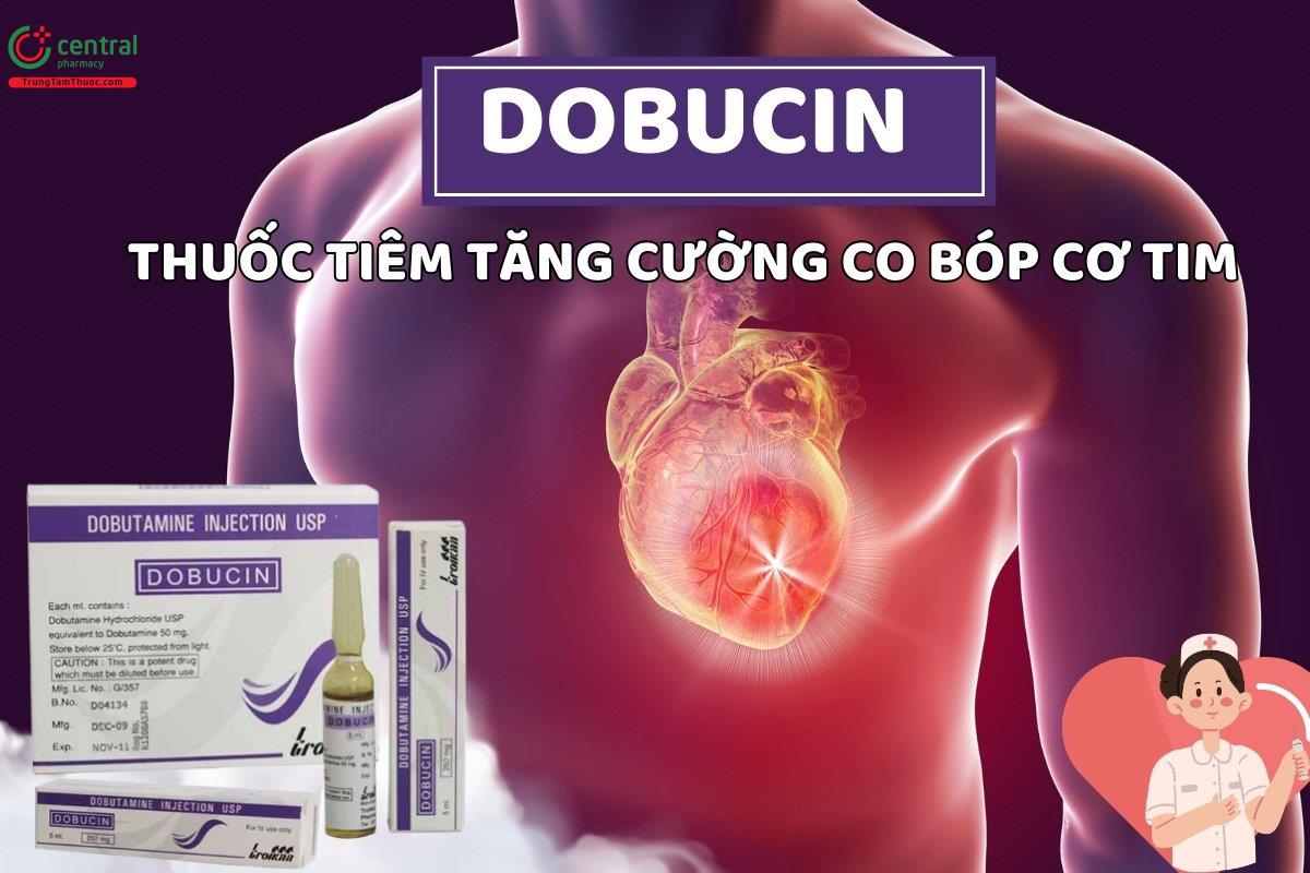 Thuốc Dobucin 250mg/5ml chứa Dobutamin tăng co bóp, hỗ trợ điều trị suy tim 