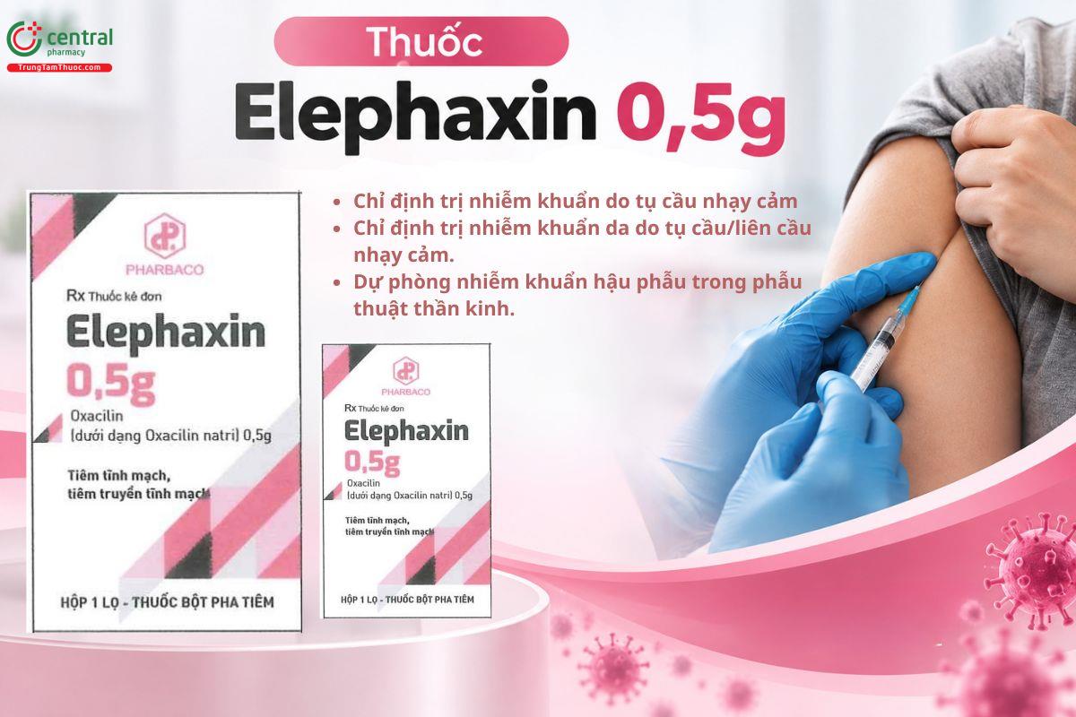 Thuốc Elephaxin 0,5g chỉ định điều trị nhiễm khuẩn do tụ cầu nhạy cảm