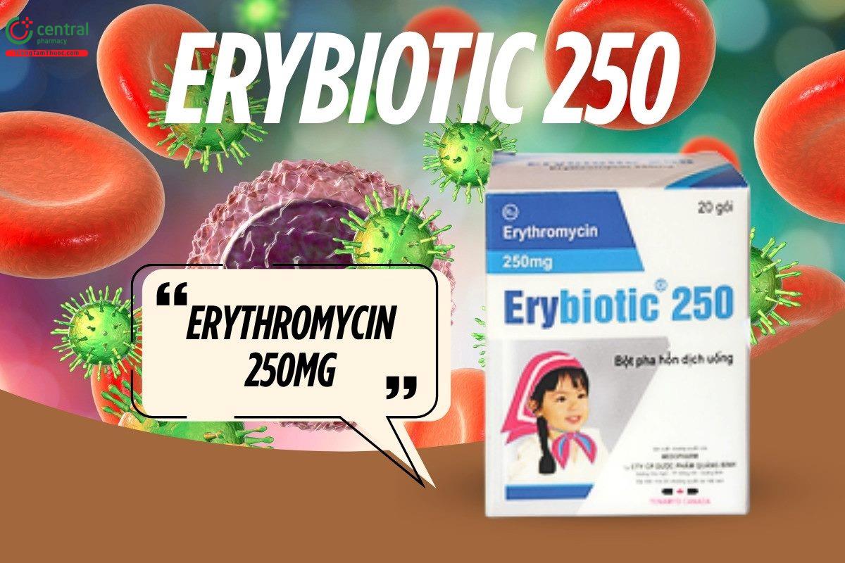 Thuốc Erybiotic 250 có chứa hoạt chất Erythromycin