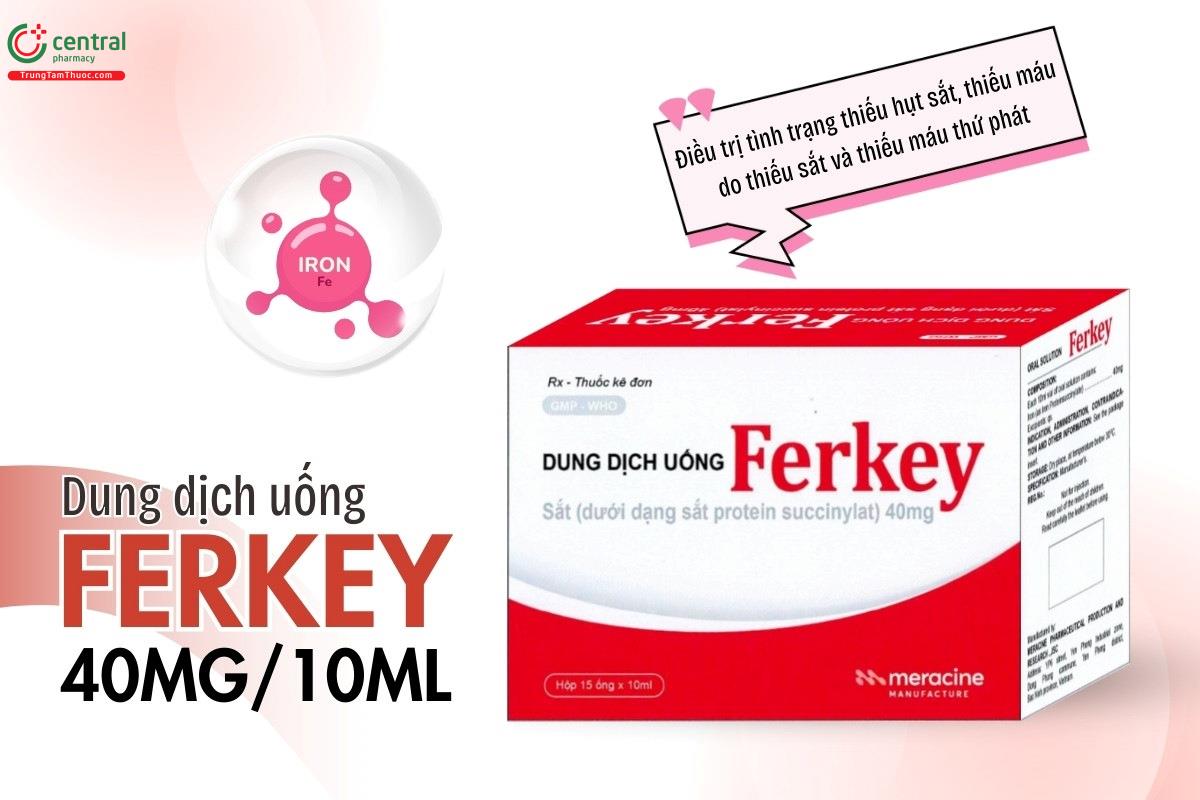 Chỉ định của thuốc Ferkey 40mg/10ml