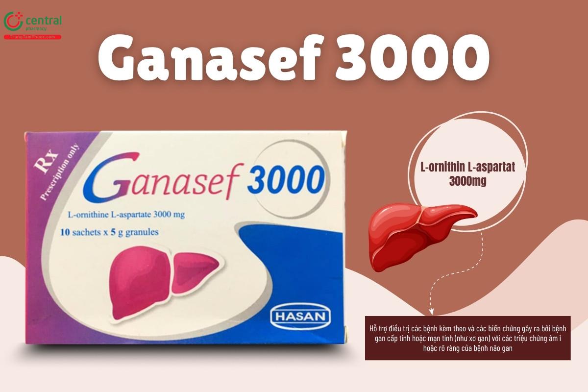 Chỉ định của thuốc Ganasef 3000