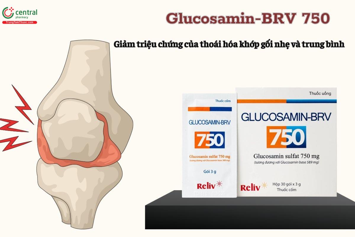 Glucosamin-BRV 750mg là thuốc gì?