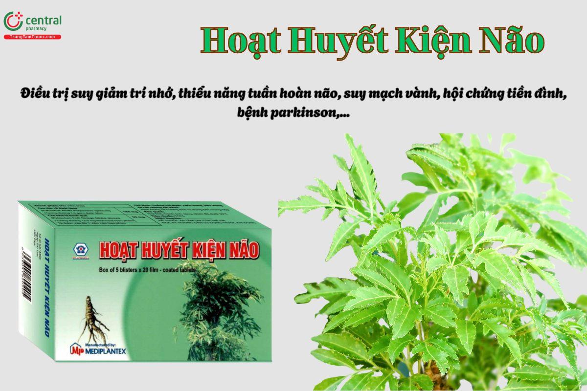 Thuốc Hoạt Huyết Kiện Não giúp hỗ trợ điều trị các tình trạng như đau đầu, chóng mặt, mất ngủ,...