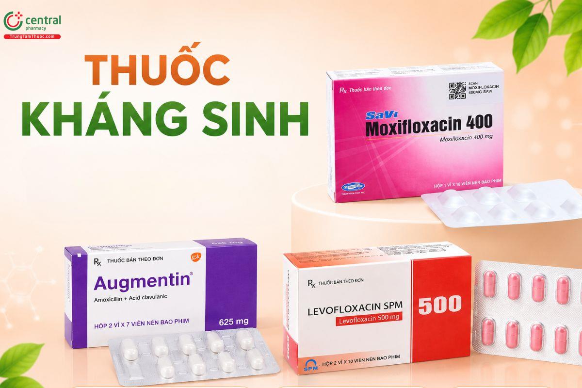 Thuốc kháng sinh trị viêm xoang