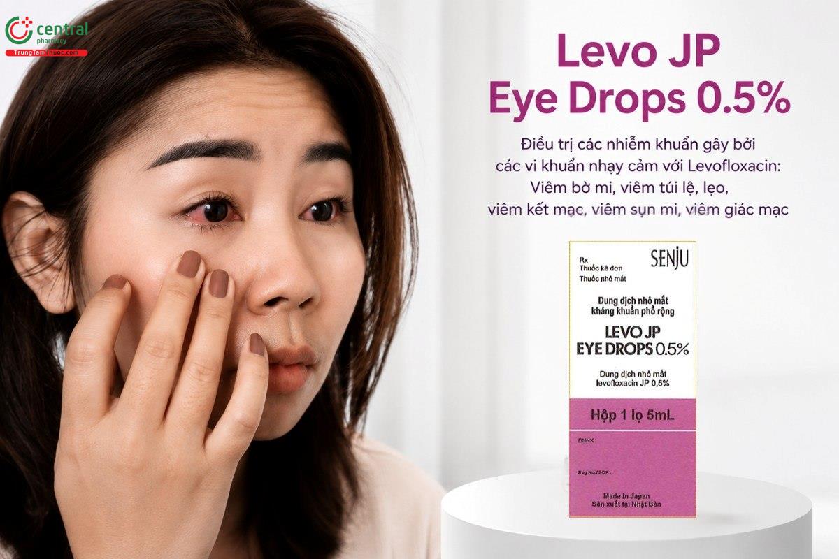 Chỉ định của thuốc Levo JP Eye Drops 0.5%