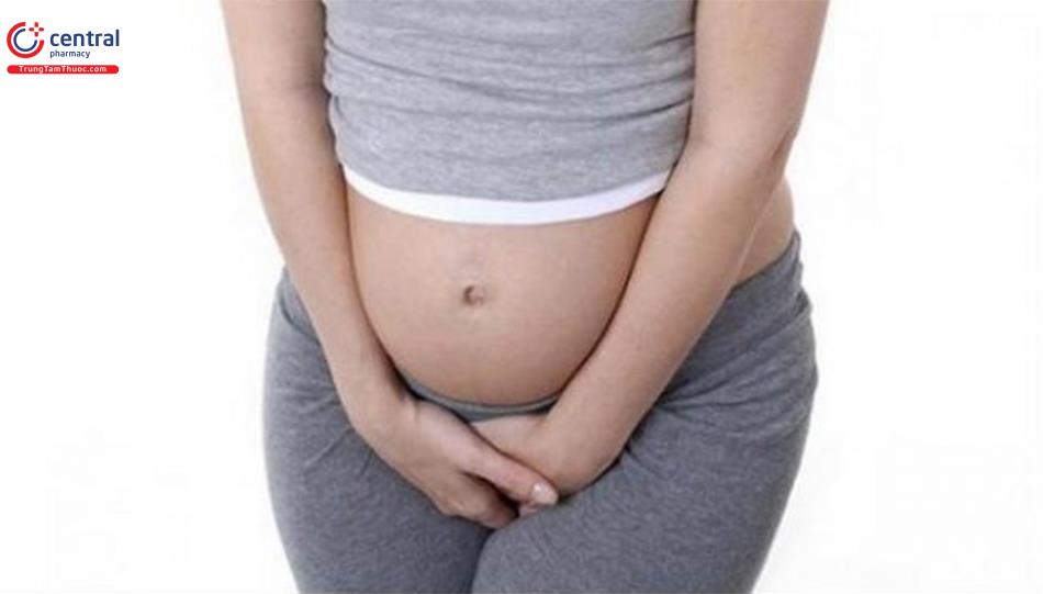 Phụ nữ khi mang thai hay gặp tình trạng bí tiểu