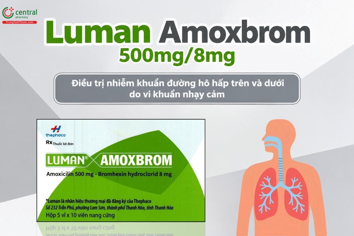 Chỉ định của thuốc Luman Amoxbrom 500mg/8mg