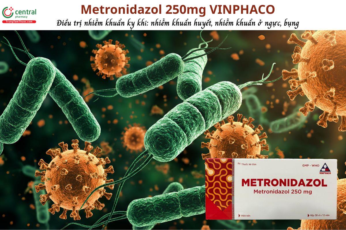 Thuốc Metronidazol 250mg VINPHACO - Điều trị nhiễm khuẩn kỵ khí