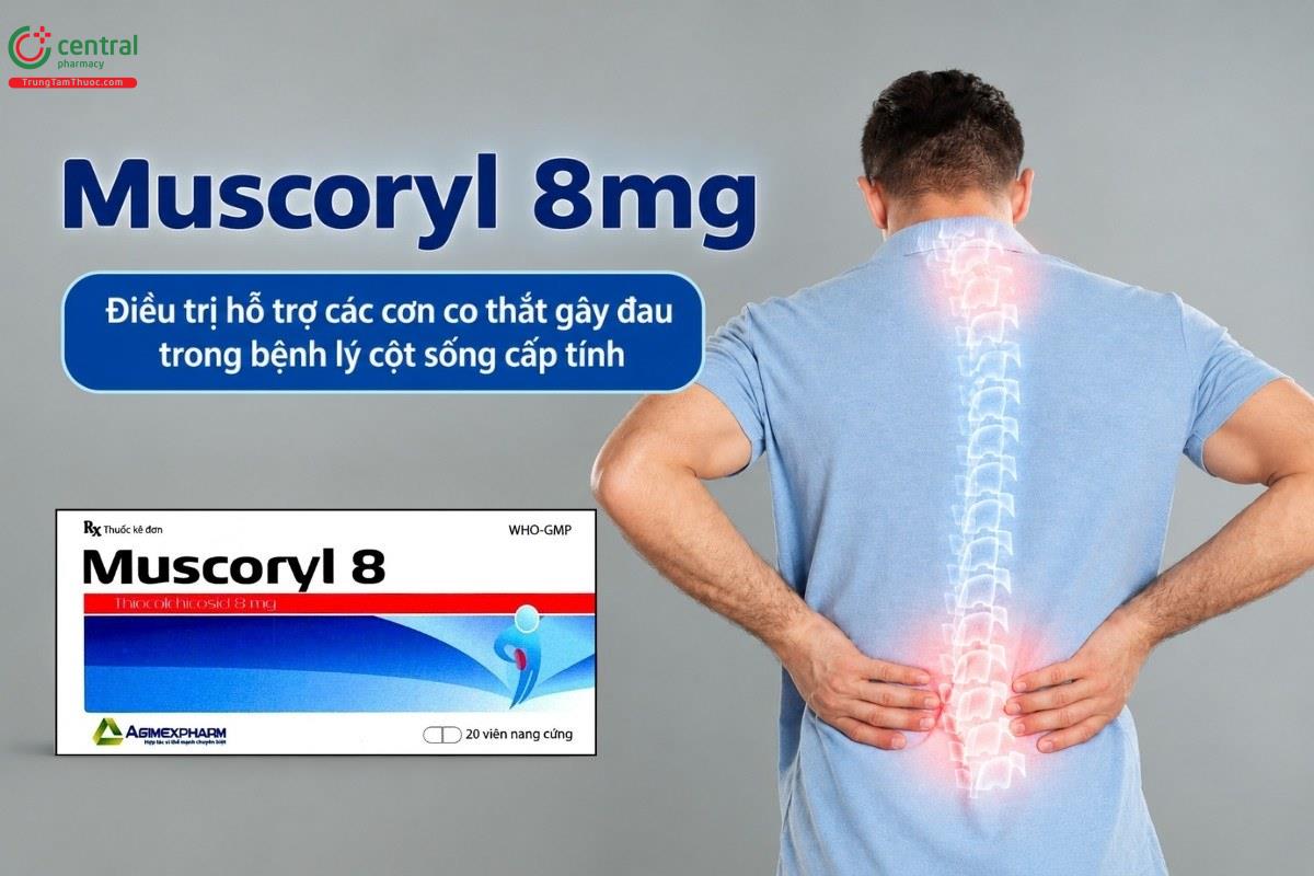 Chỉ định của thuốc Muscoryl 8mg