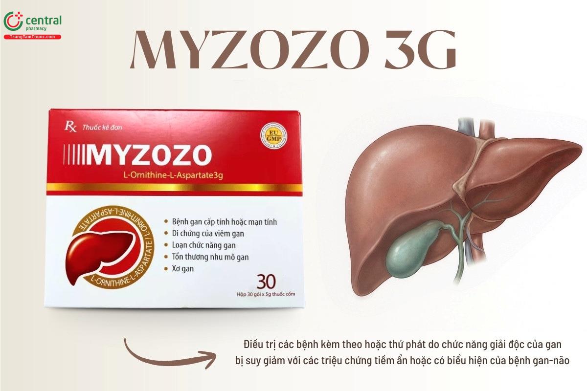 Chỉ định của thuốc Myzozo 3g