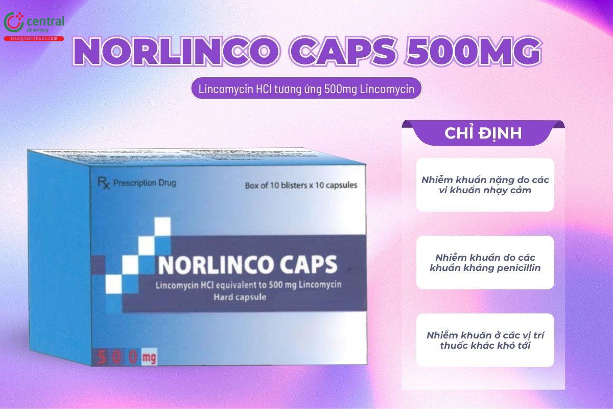 Chỉ định của thuốc Norlinco Caps 500mg