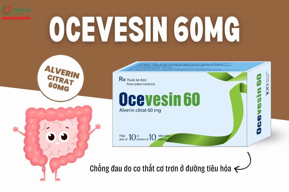 Thuốc Ocevesin 60mg chống đau do co thắt cơ trơn ở đường tiêu hóa