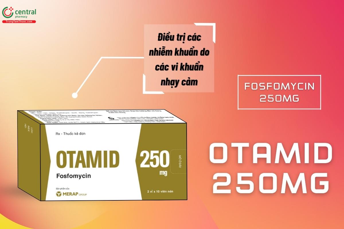 Chỉ định của thuốc Otamid 250mg