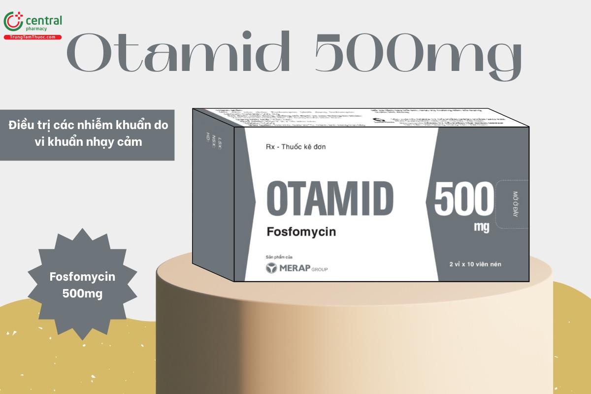 Chỉ định của thuốc Otamid 500mg