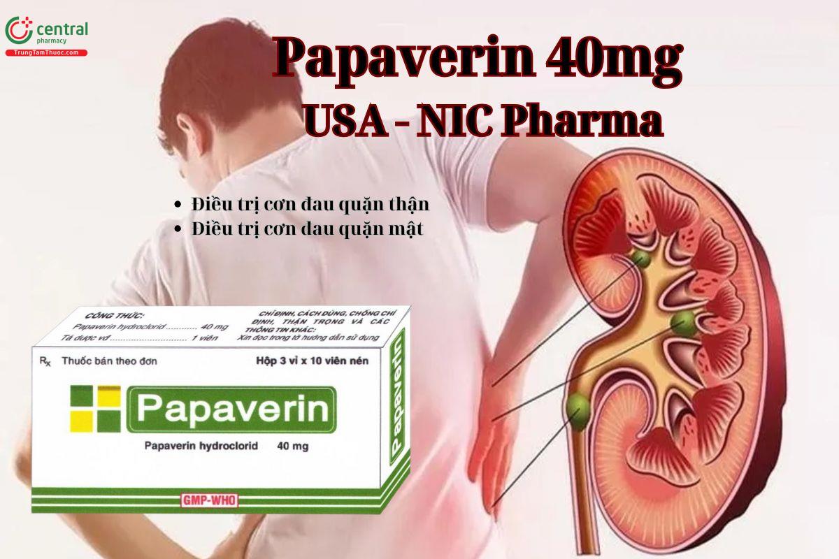 Thuốc Papaverin 40mg USA - NIC Pharma điều trị cơn đau quặn thận
