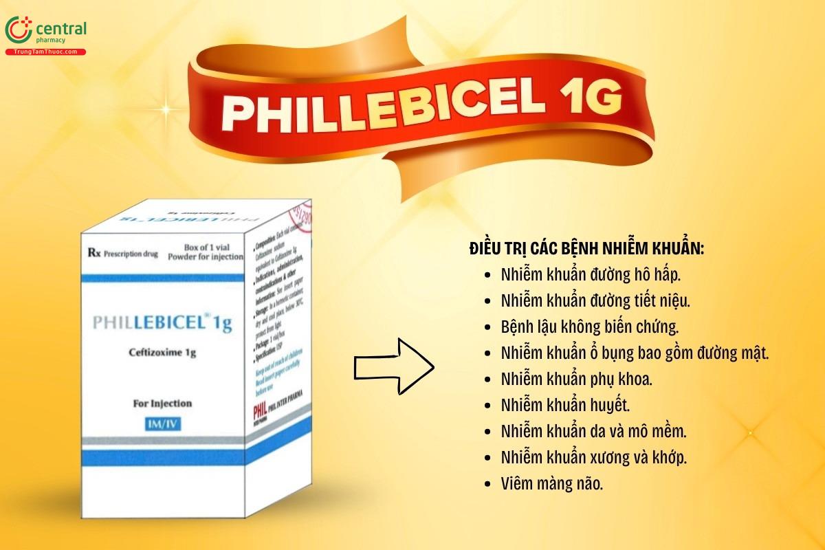 Chỉ định của thuốc Phillebicel 1g