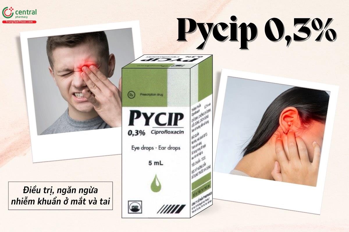 Chỉ định của thuốc Pycip 0,3%