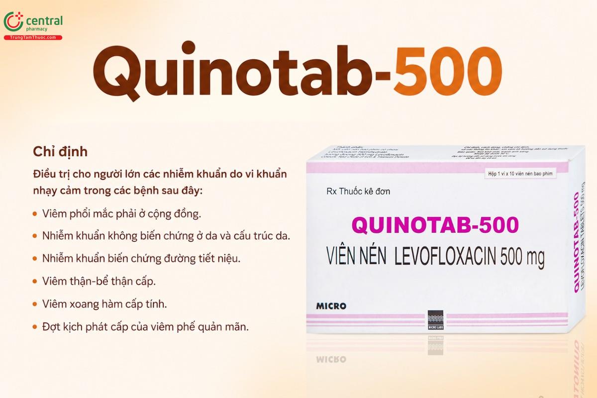 Chỉ định của thuốc Quinotab-500