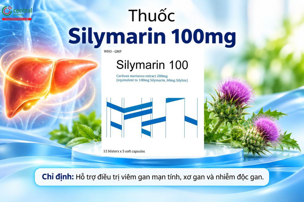  Thuốc Silymarin 100mg hỗ trợ điều trị viêm gan mạn, xơ gan, nhiễm độc gan  