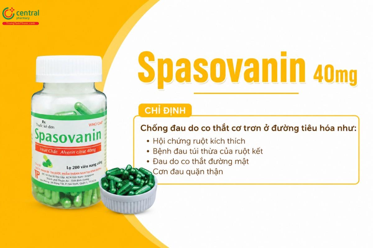 Chỉ định của thuốc Spasovanin 40mg