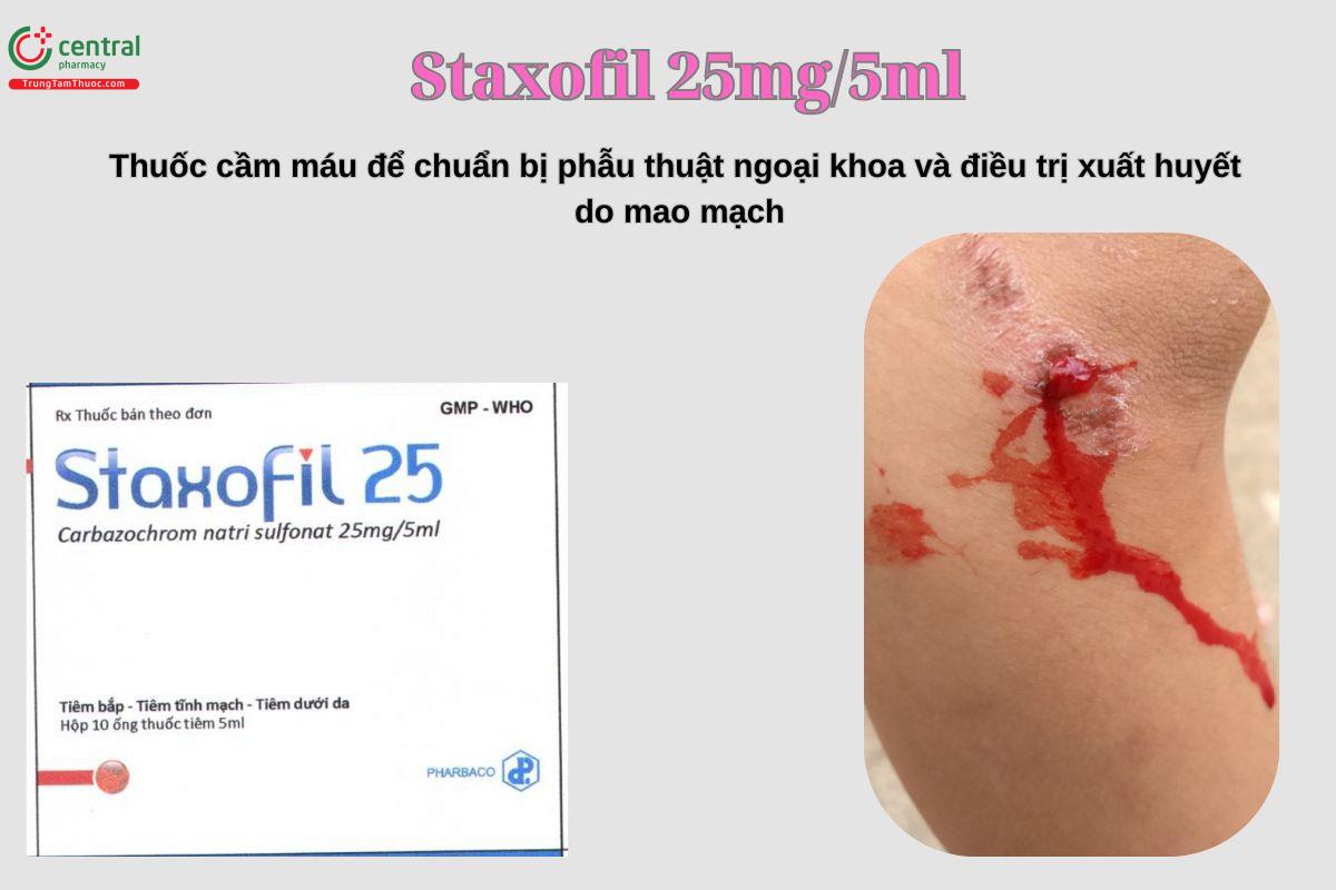 Staxofil 25mg/5ml - Thuốc cầm máu do xuất huyết mao mạch