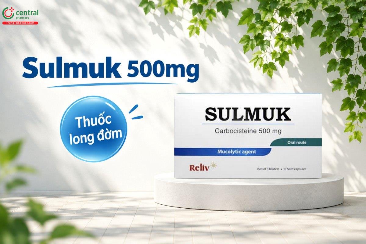Tác dụng của thuốc Sulmuk 500mg
