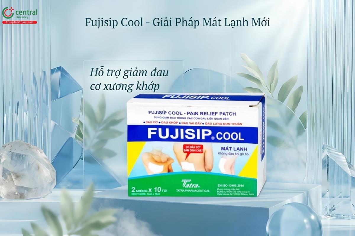 Miếng dán tan bầm tím Fujisip Cool