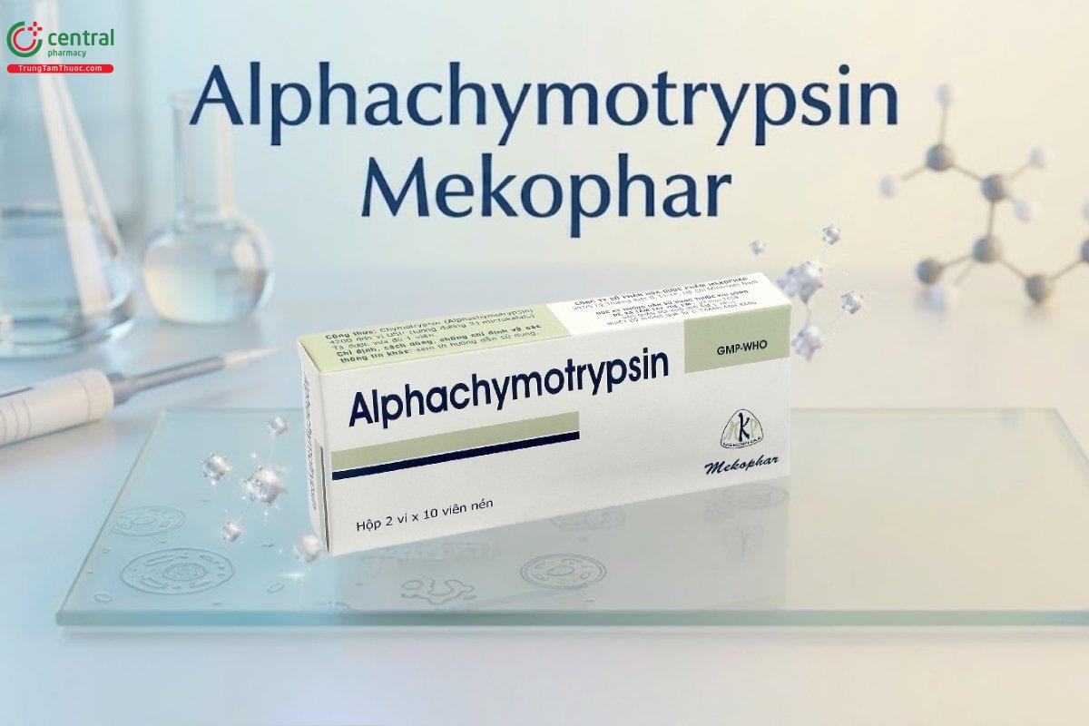 Thuốc tan máu bầm Alphachymotrypsin