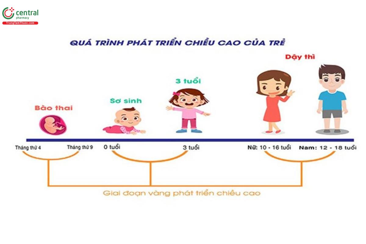 Quá trình tăng chiều cao ở trẻ
