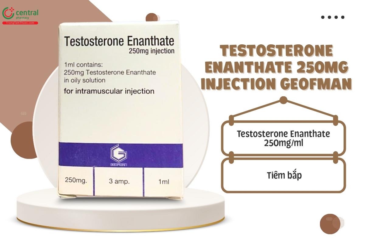 Thành phần của Testosterone Enanthate 250mg Injection Geofman