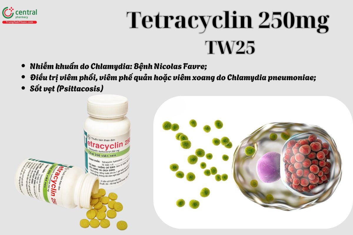 Thuốc Tetracyclin 250mg TW25 điều trị các trường hợp nhiễm khuẩn do vi khuẩn còn nhạy cảm với Tetracyclin