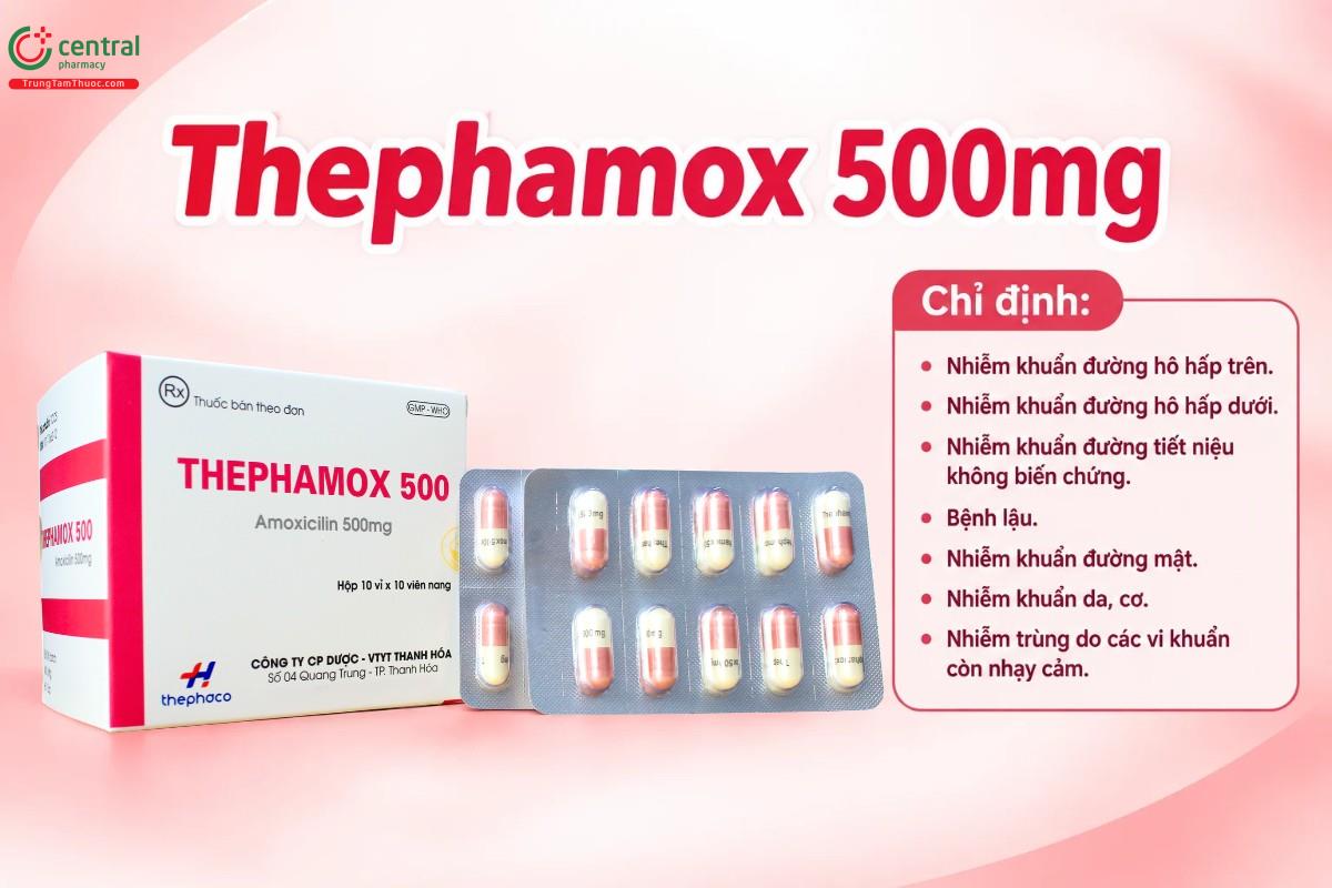 Chỉ định của thuốc Thephamox 500mg