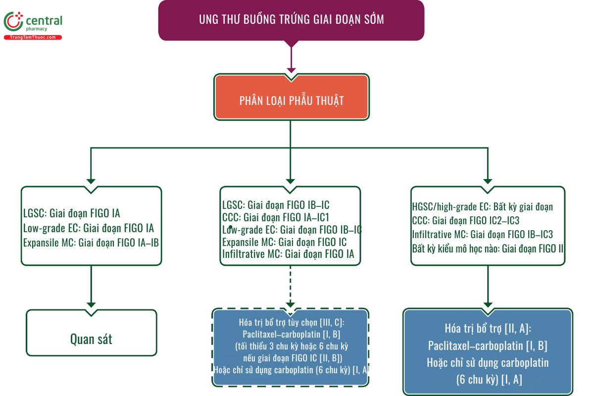 Phác đồ điều trị ung thư buồng trứng giai đoạn sớm theo ESMO