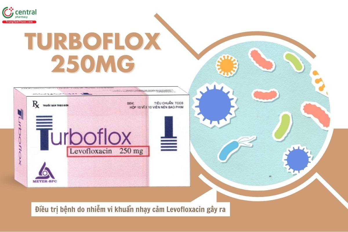 Chỉ định của thuốc Turboflox 250mg