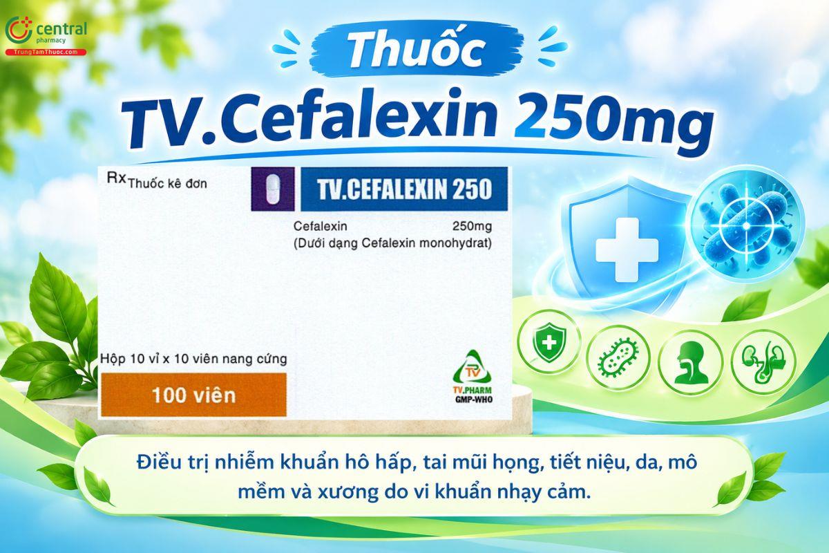 Thuốc TV.Cefalexin 250mg điều trị nhiễm khuẩn đường hô hấp, tiết niệu và da