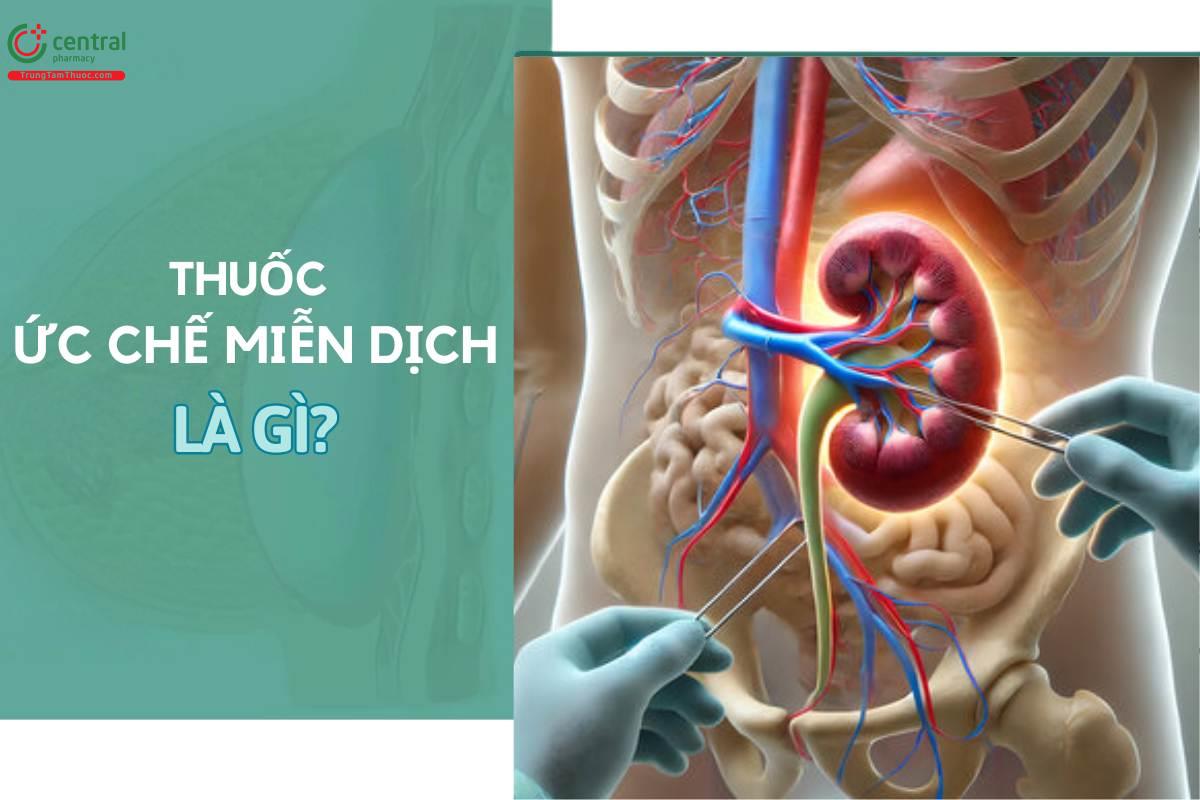 Thuốc ức chế miễn dịch là gì?